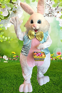 Easter Bunny #7