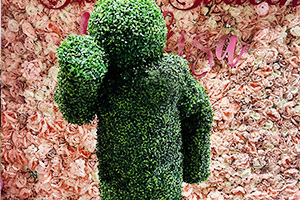 Living Hedge People