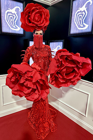 Red Rose Costume Characters