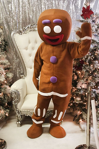 Gingerbread Mascot Character
