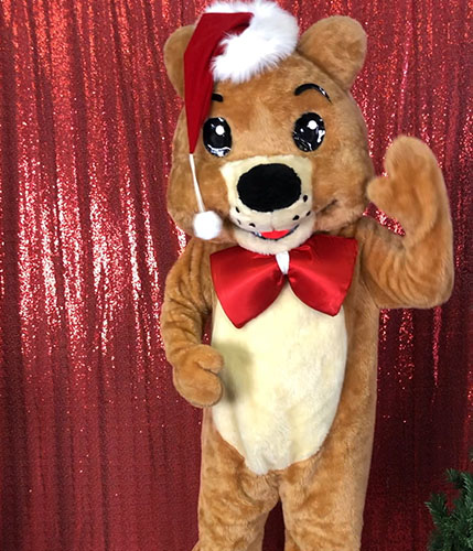 Teddy Bear Mascot Character