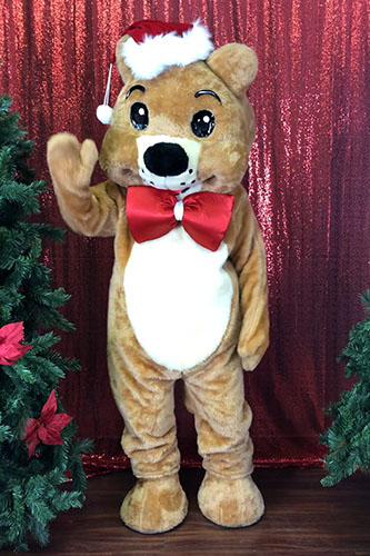 Teddy Bear Mascot Character