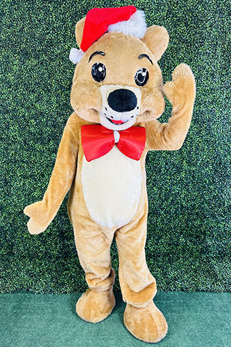 Teddy Bear Mascot Character