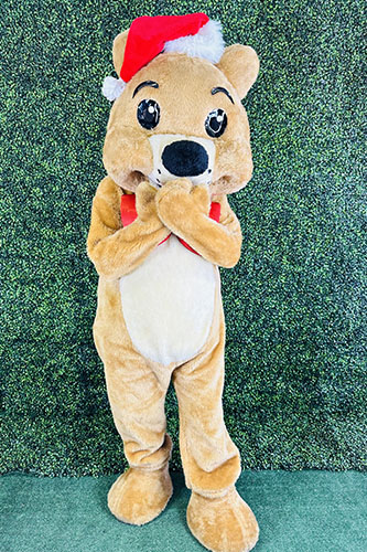 Teddy Bear Mascot Character